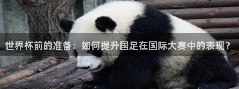 世界杯球队：世界杯前的准备：如何提升国足在国际大赛中的表现？