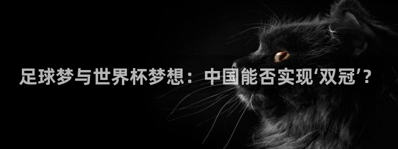 世界杯预选赛：足球梦与世界杯梦想：中国能否实现‘双冠’？
