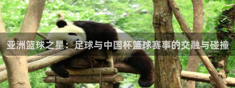 世界杯比赛：亚洲篮球之星：足球与中国杯篮球赛事的交融与碰撞