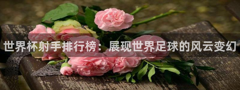中国 世界杯：世界杯射手排行榜：展现世界足球的风云变幻