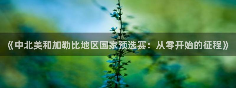 欧洲世界杯预选赛：《中北美和加勒比地区国家预选赛：从零开始的征程》