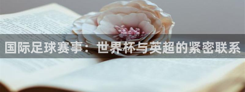 世界杯欧洲预选赛：国际足球赛事：世界杯与英超的紧密联系