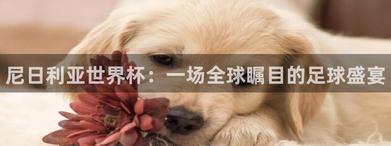 2026足球世界杯：尼日利亚世界杯：一场全球瞩目的足球盛宴