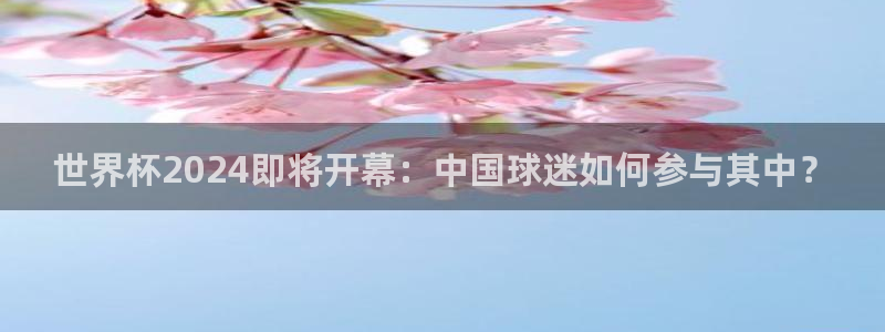 2026年足球世界杯赛程时间表：世界杯2024即将开幕：中国球迷如何参与其中？