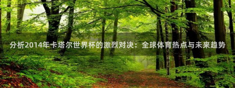 世界杯 2026：分析2014年卡塔尔世界杯的激烈对决：全球体育热点与未来趋势