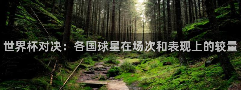 世界杯比赛：世界杯对决：各国球星在场次和表现上的较量