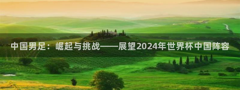 2026足球世界杯：中国男足：崛起与挑战——展望2024年世界杯中国阵容