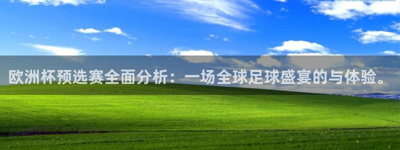 世界杯足球2026：欧洲杯预选赛全面分析：一场全球足球盛宴的与体验。