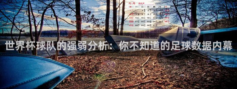 世界杯预选赛欧洲赛区赛程：世界杯球队的强弱分析：你不知道的足球数据内幕