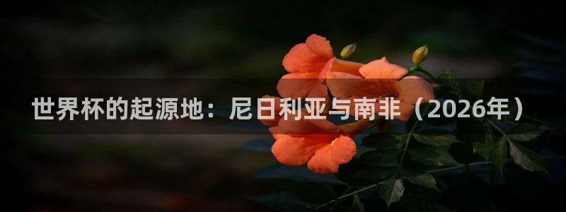 免费看足球直播比赛：世界杯的起源地：尼日利亚与南非（2026年）