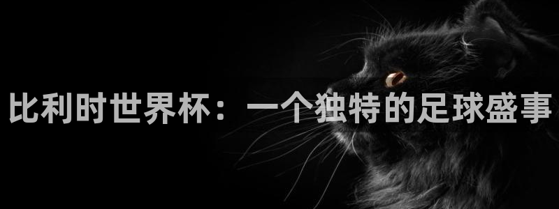 世界杯在线直播：比利时世界杯：一个独特的足球盛事