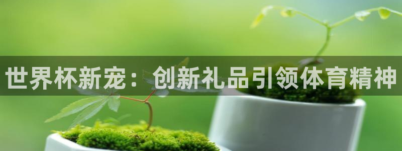 看世界杯：世界杯新宠：创新礼品引领体育精神
